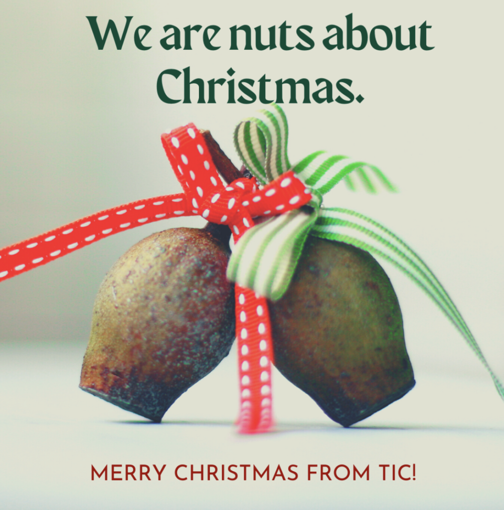 nuts about christmas
